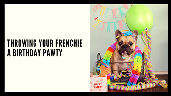 Throwing Your Frenchie a Birthday Pawty