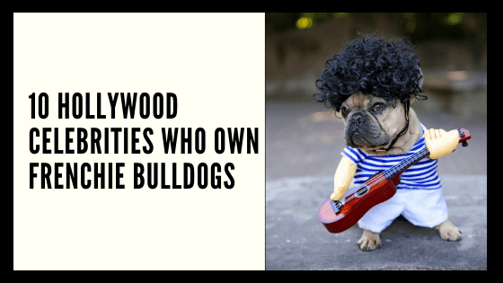 11 HOLLYWOOD CELEBRITIES WHO OWN FRENCHIE BULLDOGS