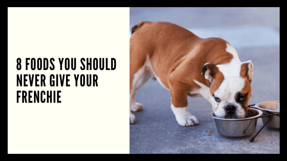 8 Foods You Should NEVER Give Your Frenchie