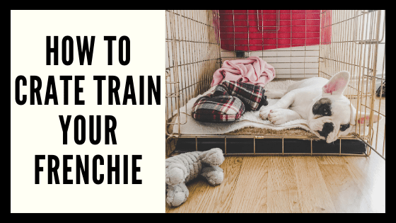 How to Crate Train Your Frenchie