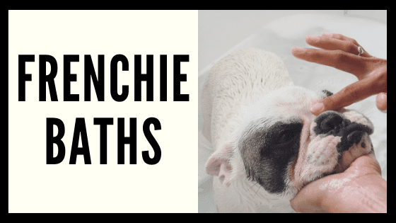 Frenchie Baths