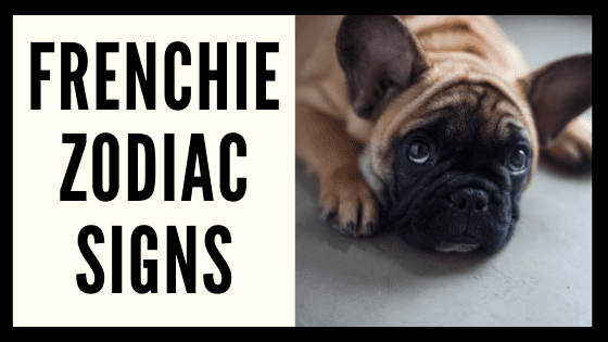 Frenchie Zodiac Sign