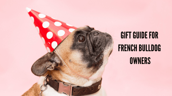 A Gift Guide for French Bulldog Owners