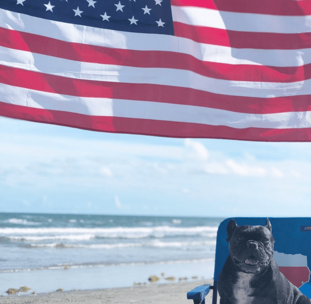 French Bulldog puppies for sale in Austin, Dallas, San Antonio, and Houston Texas.