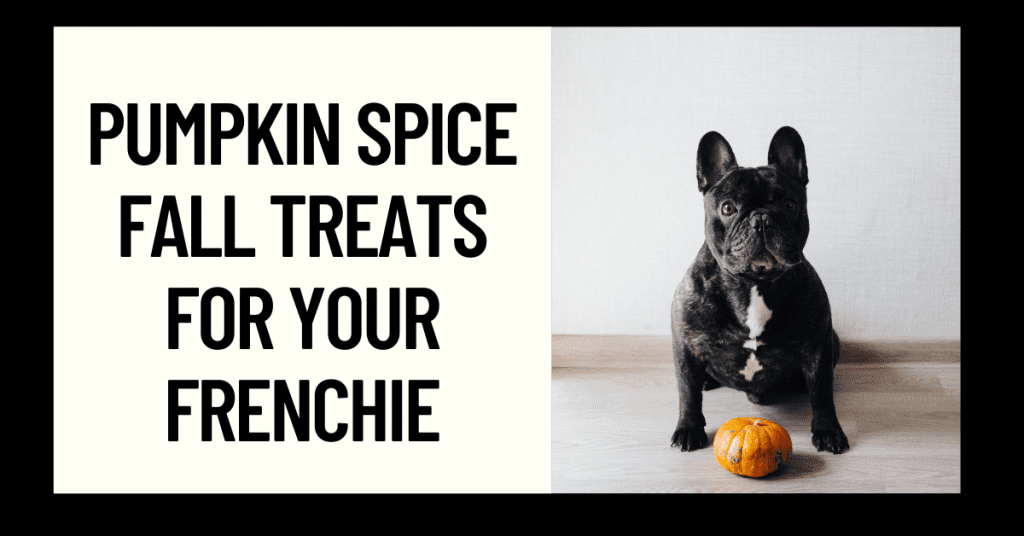 French bulldog clearance treats