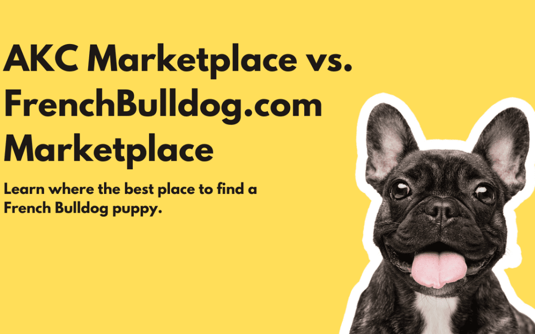 FrenchBulldog.com Marketplace vs. AKC Marketplace