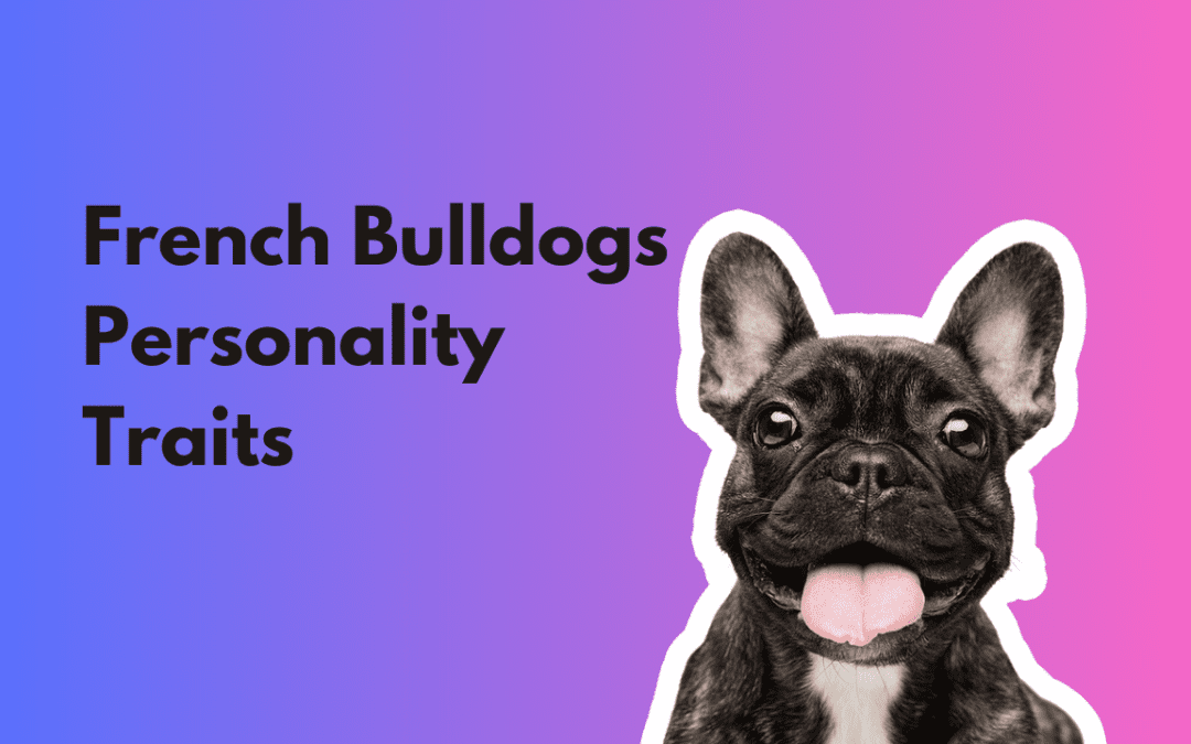 French Bulldogs Personality Traits