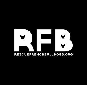 French bulldogs to rescue