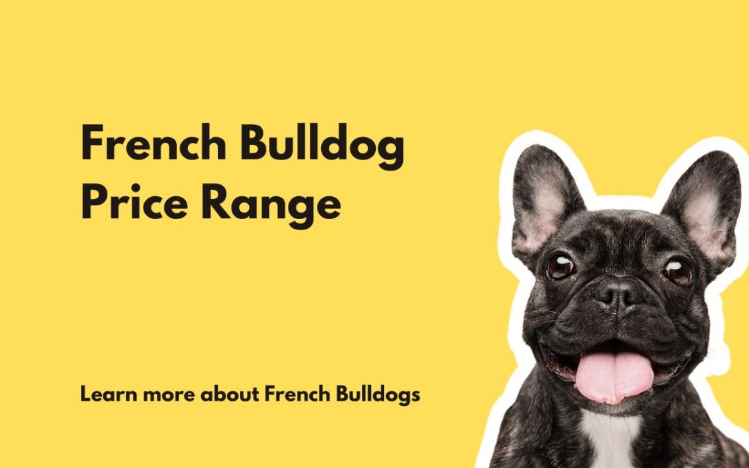 how much is a french bulldog puppy cost